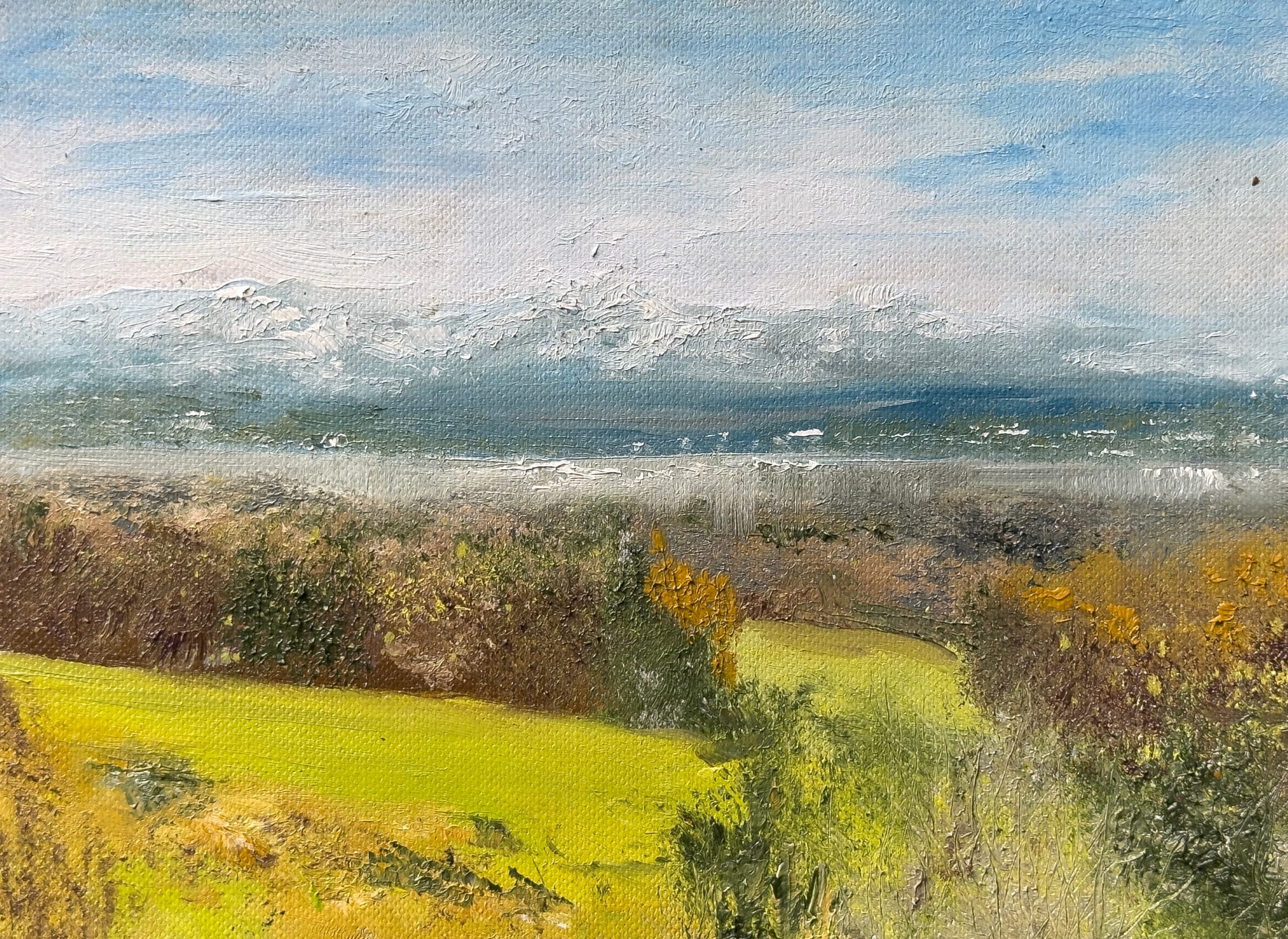 Blick auf die Alpen