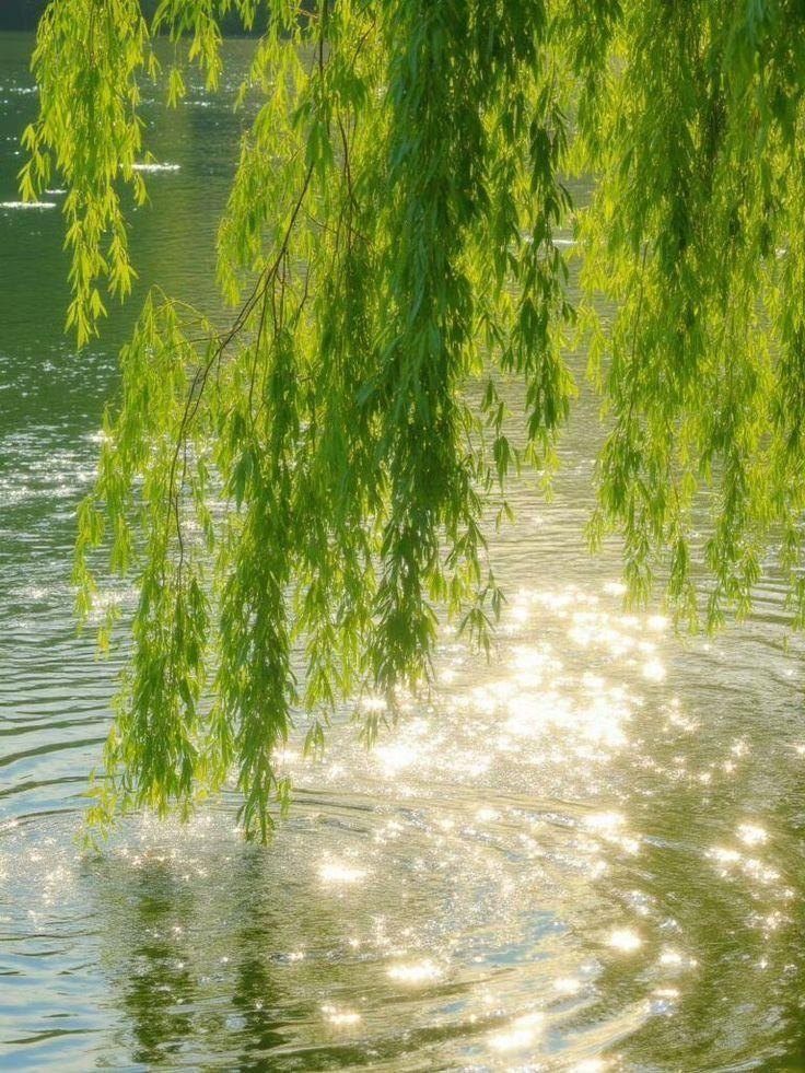 Licht auf dem Wasser