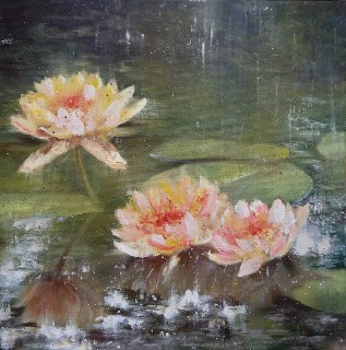 Regen küsst Seerosen