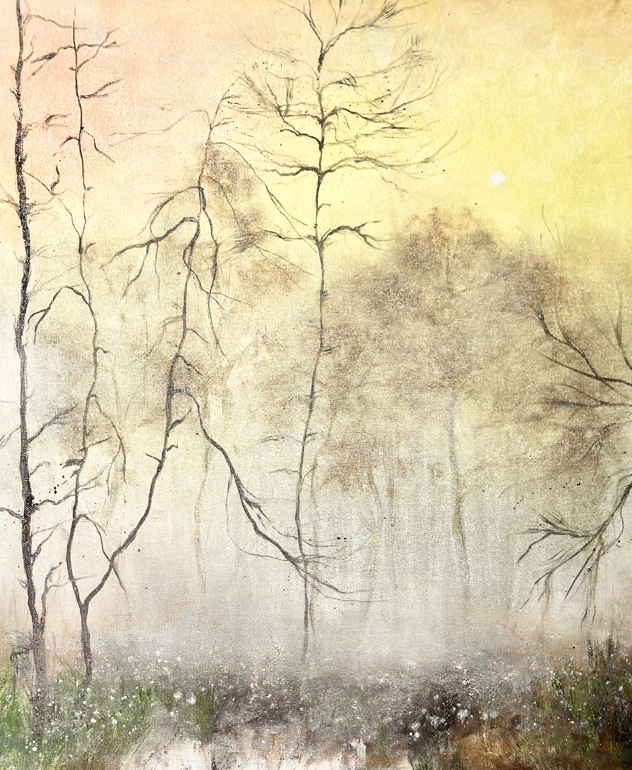 Der Wald erwacht